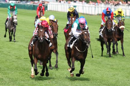 course hippique chevaux